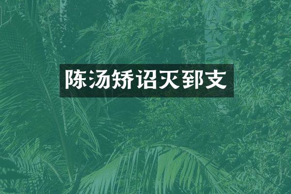 陈汤矫诏灭郅支