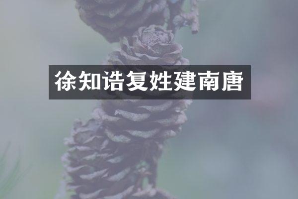 徐知诰复姓建南唐