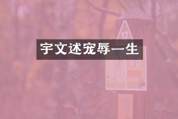 宇文述宠辱一生