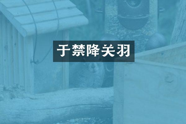于禁降关羽