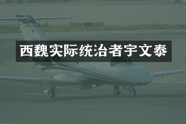 西魏实际统治者宇文泰
