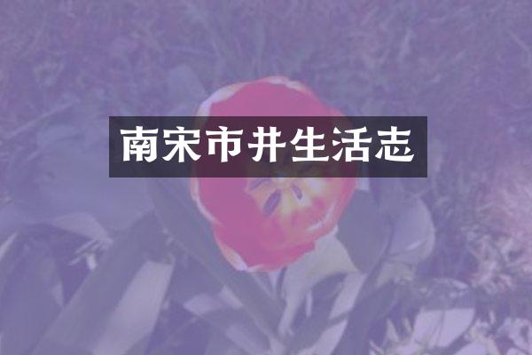南宋市井生活志