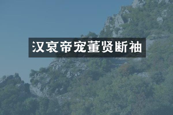 汉哀帝宠董贤断袖
