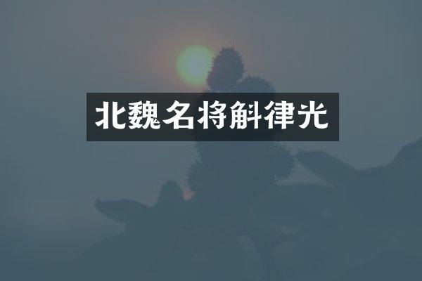 北魏名将斛律光