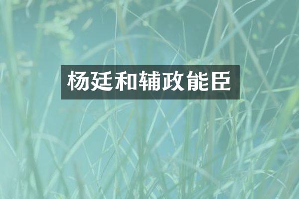 杨廷和辅政能臣