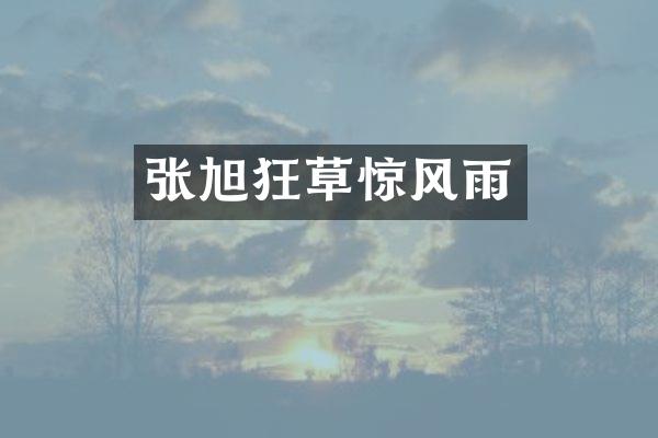 张旭狂草惊风雨