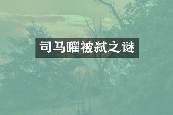 司马曜被弑之谜