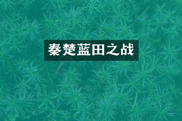 秦楚蓝田之战