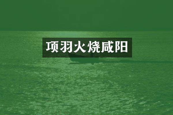 项羽火烧咸阳