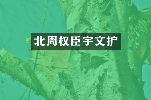 北周权臣宇文护