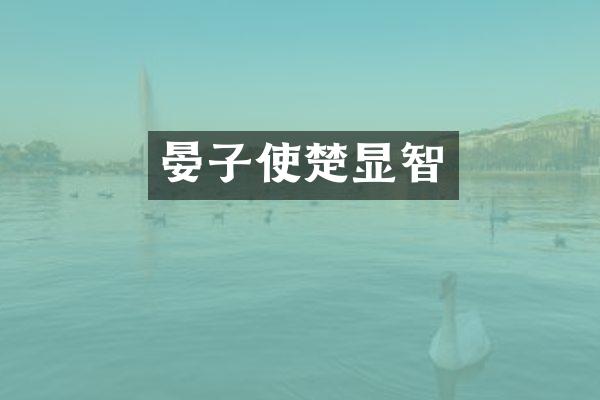 晏子使楚显智