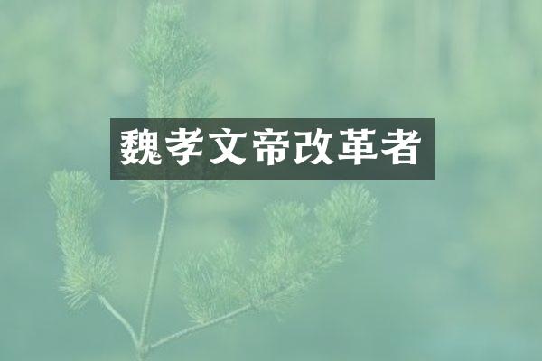 魏孝文帝改革者