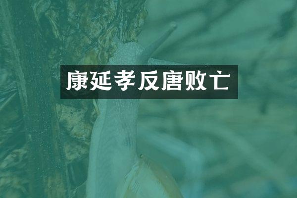 康延孝反唐败亡