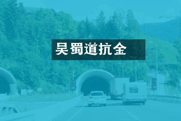 吴玠蜀道抗金