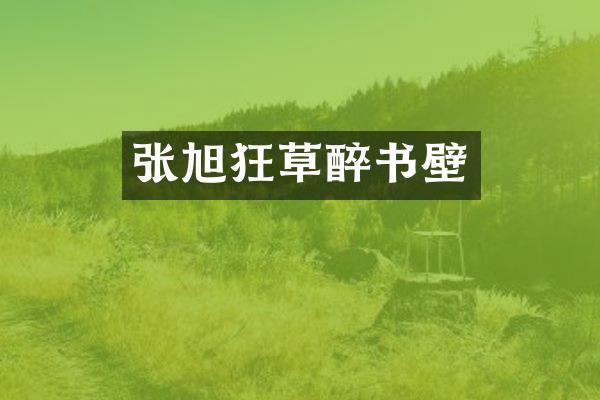 张旭狂草醉书壁