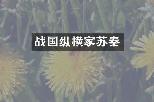 战国纵横家苏秦