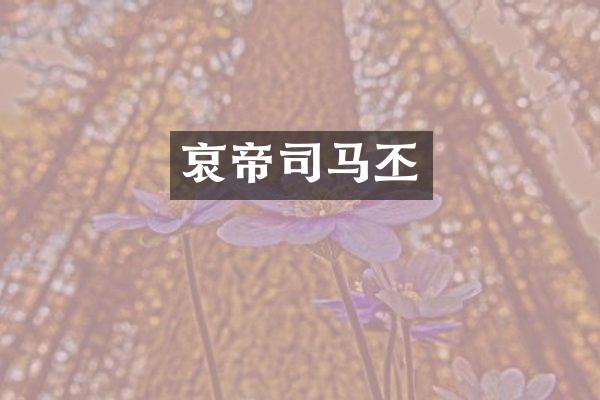 哀帝司马丕