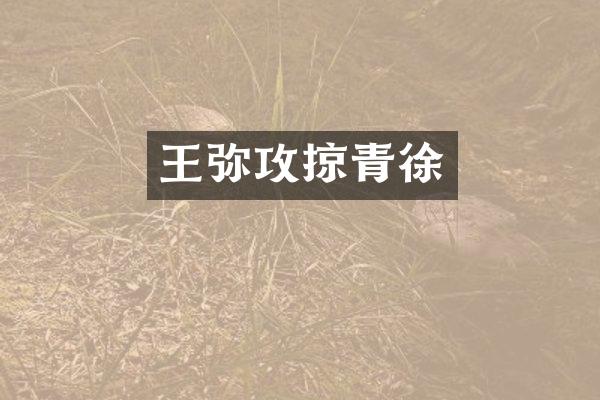 王弥攻掠青徐