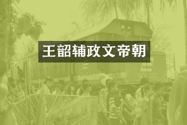 王韶辅政文帝朝