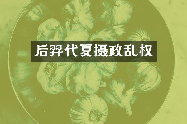 后羿代夏摄政乱权