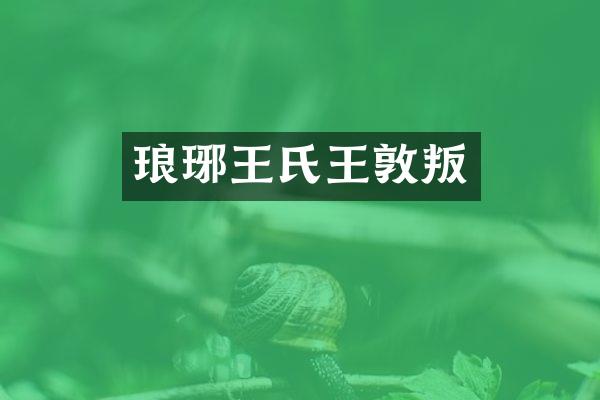 琅琊王氏王敦叛