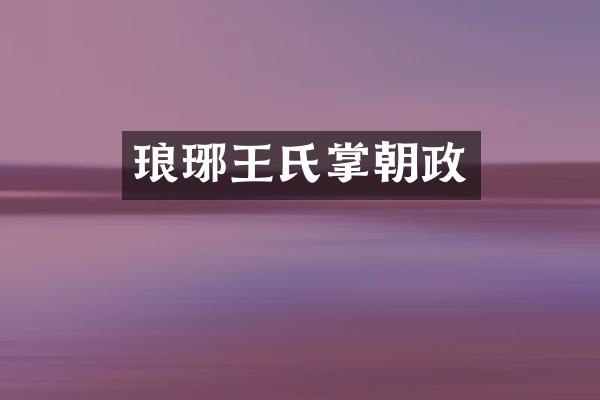 琅琊王氏掌朝政