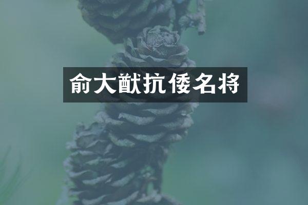 俞大猷抗倭名将