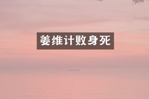 姜维计败身死