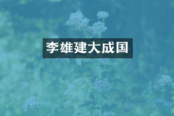 李雄建大成国