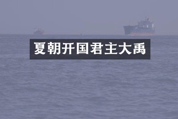 夏朝开国君主大禹