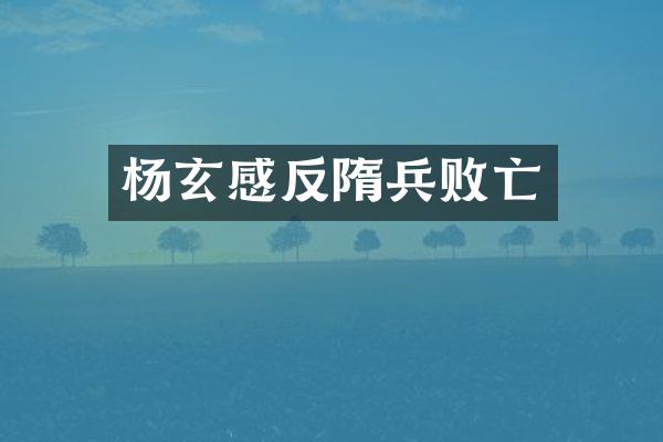 杨玄感反隋兵败亡