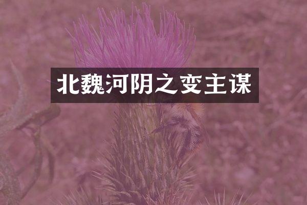 北魏河阴之变主谋