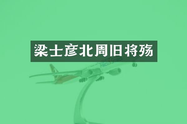 梁士彦北周旧将殇