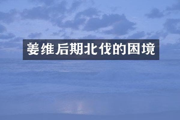 姜维后期北伐的困境