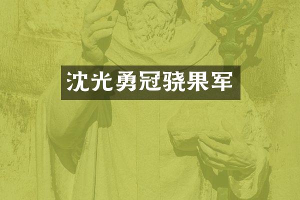沈光勇冠骁果军