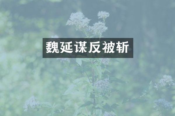 魏延谋反被斩