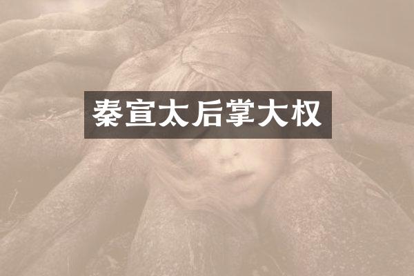 秦宣太后掌大权