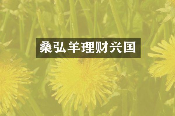 桑弘羊理财兴国