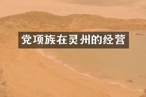 党项族在灵州的经营