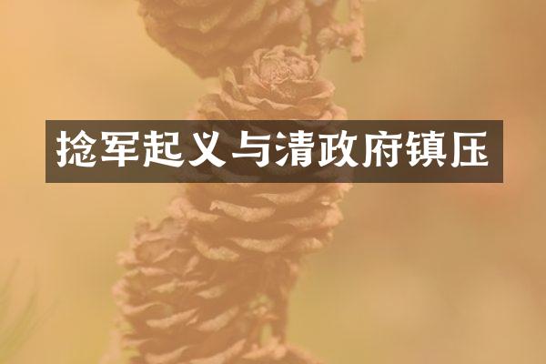 捻军起义与清政府镇压