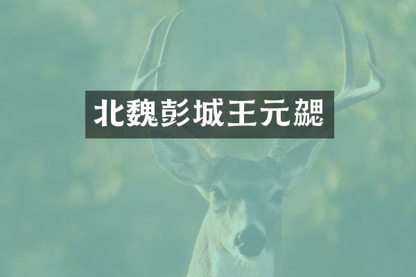 北魏彭城王元勰