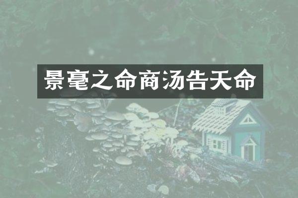 景毫之命商汤告天命