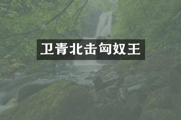 卫青北击匈奴王