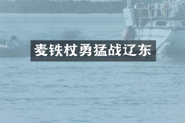 麦铁杖勇猛战辽东