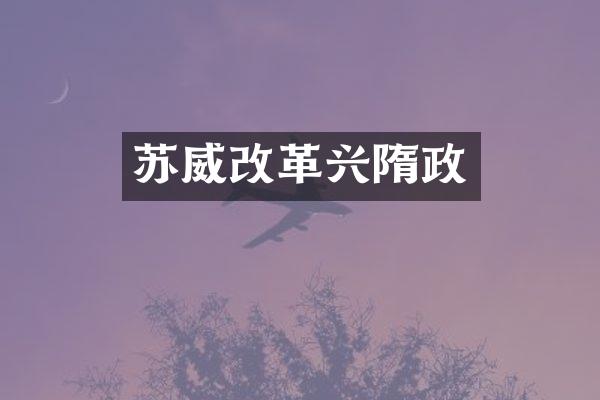 苏威改革兴隋政