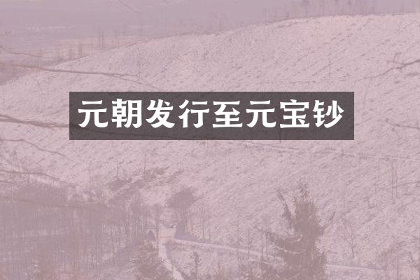 元朝发行至元宝钞