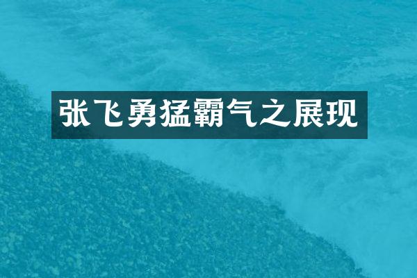 张飞勇猛霸气之展现