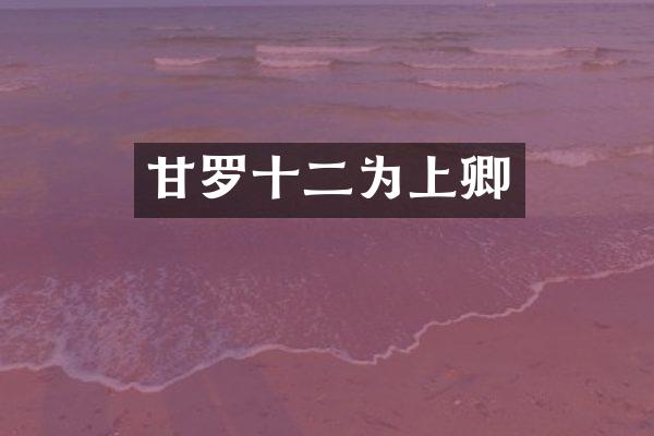 甘罗十二为上卿