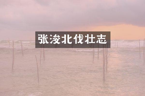 张浚北伐壮志