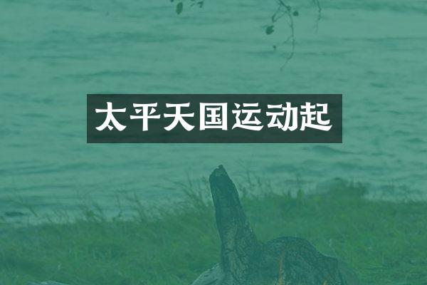 太平天国运动起